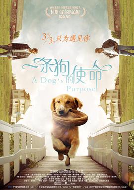 日本一区二区免费在线观看